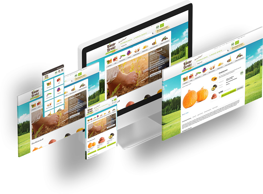 Referenzen Webdesign - Bauer Direkt